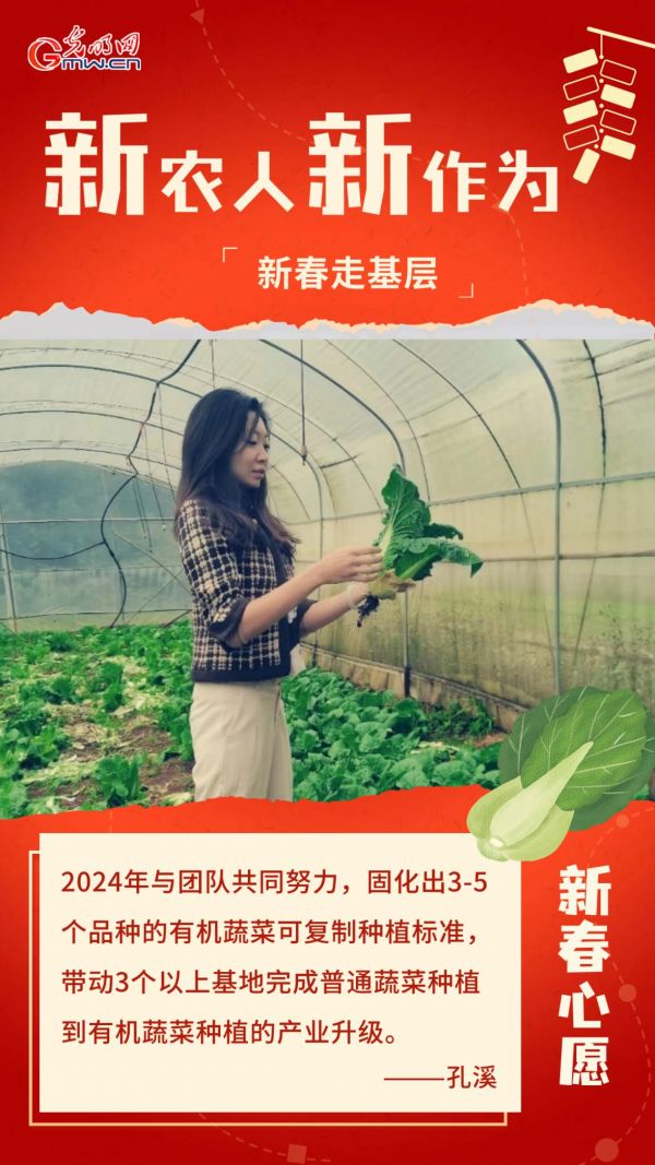 新春走基层｜种菜标准化，让传统农业告别“靠天吃饭”