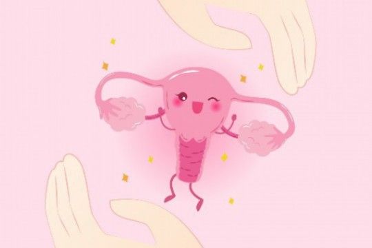 〖二胎的教育政策，中国二胎教育政策〗