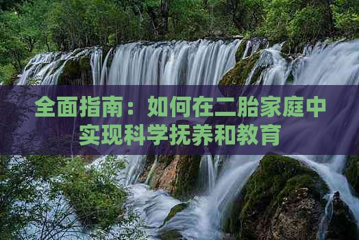 全面指南：如何在二胎家庭中实现科学抚养和教育