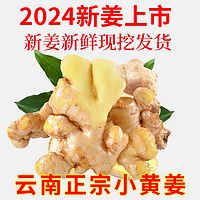 言片光 云南小黃姜生姜