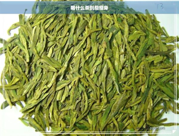 喝什么茶刮脂瘦身