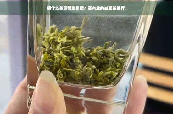 喝什么茶最刮脂排？最有效的减肥茶推荐！