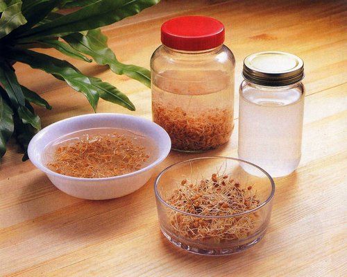 保健食療能量飲 – 回春水