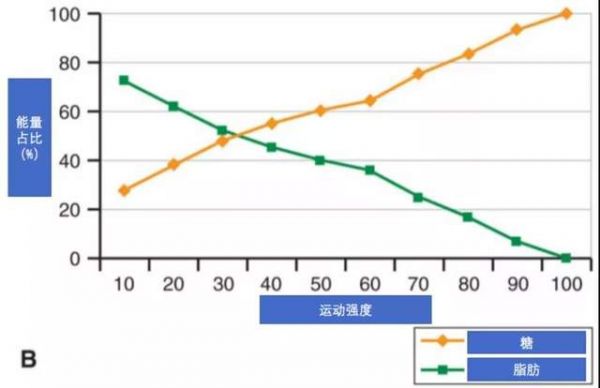 暴汗运动却瘦不下来？你可能忽视了这个细节……