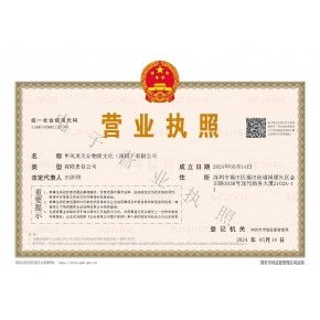 甲凤龙天非物质文化（深圳）有限公司