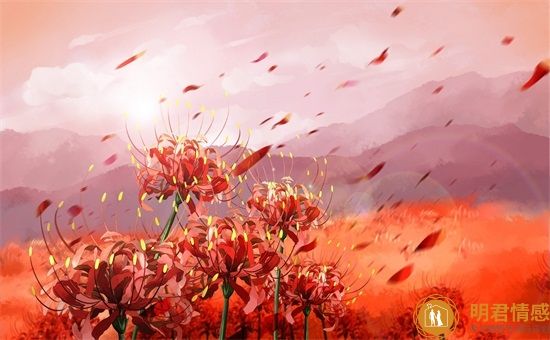 提升氣質(zhì)的方法,如何提升個人形象