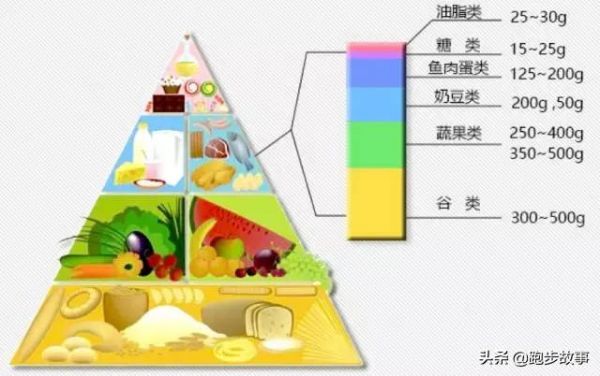 体育锻炼与膳食平衡