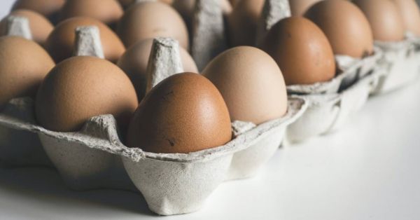 Cartónde huevos para comer