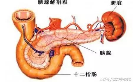 健康管理：糖尿病管控调理