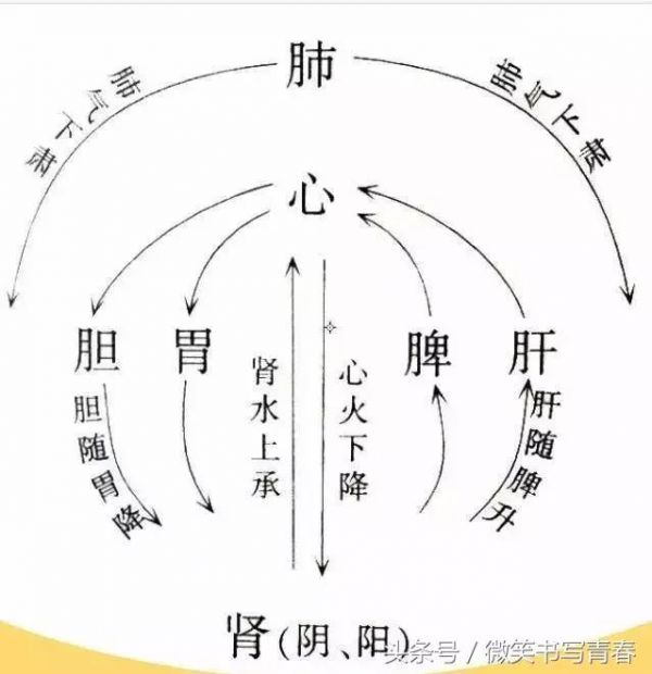 健康管理：糖尿病管控调理