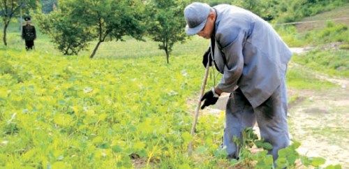 资料图：裴俊浩在教改所劳动。