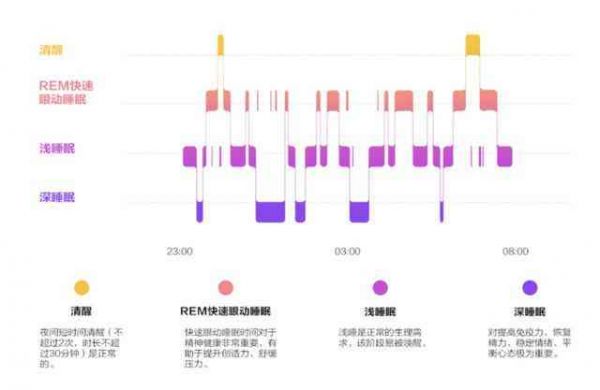 全方位睡眠质量分析报告：深度解析监测数据与改善建议