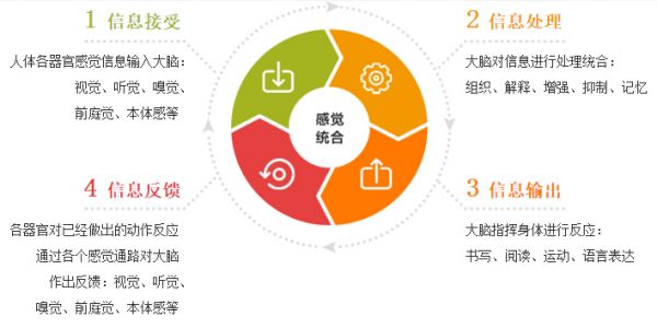 感覺統(tǒng)合訓(xùn)練