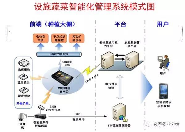 农业绿色发展背景下蔬菜绿色生产