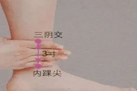 640.webp (57).png