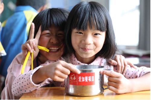 “健康饮食、快乐学习—泰莱中国儿童健康改善计划”。