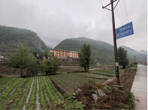 图片：中国西南地区乡村小学。