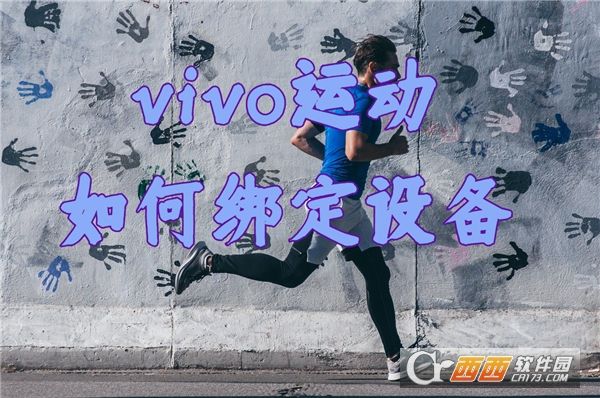 vivo运动健康app最新版