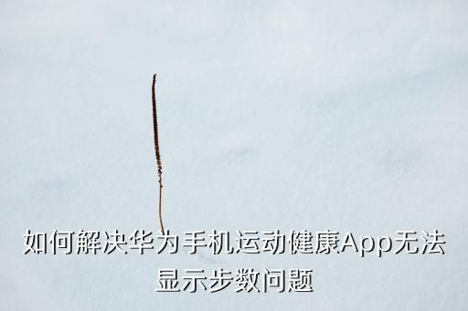 如何解决华为手机运动健康App无法显示步数问题