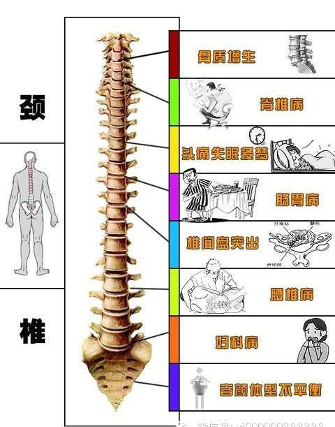 颈椎操   脊柱与健康    养生先养骨 养骨能续命