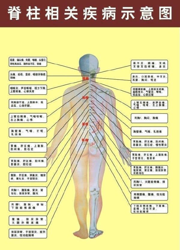 颈椎操   脊柱与健康    养生先养骨 养骨能续命