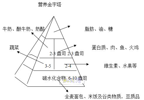 营养金字塔