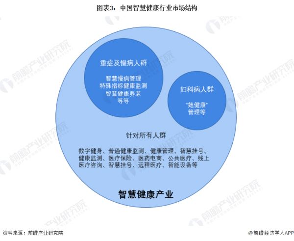 图表3：中国智慧健康行业市场结构