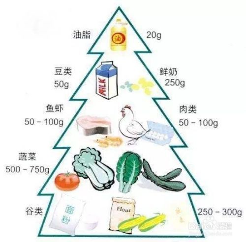 如何在三个月健康瘦身15斤