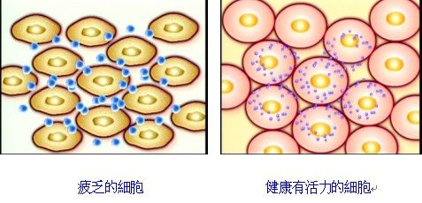 生命与水和健康用水！