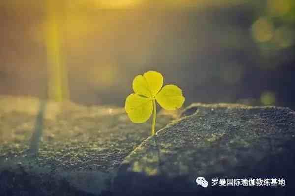 瑜伽能减肥吗（瑜伽可以减肥吗？）