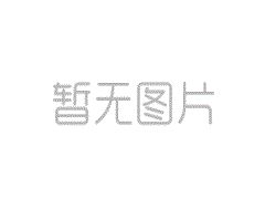 探索貴金屬烤瓷牙的種類多樣性