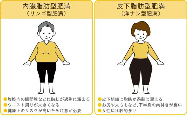 内臓脂肪型肥満（リンゴ型肥満）と皮下脂肪型肥満（洋ナシ型肥満）の比較イラスト