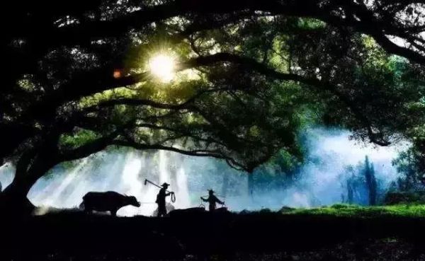 孕期想去旅游？最適合孕婦旅游景點(diǎn)推薦！