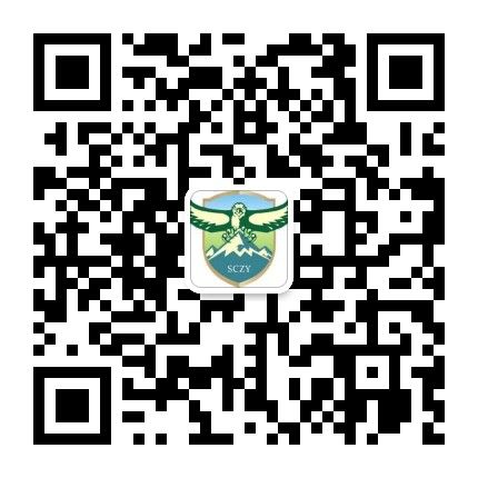 aa877ab4c4199a90bf260f1adcce212.jpg