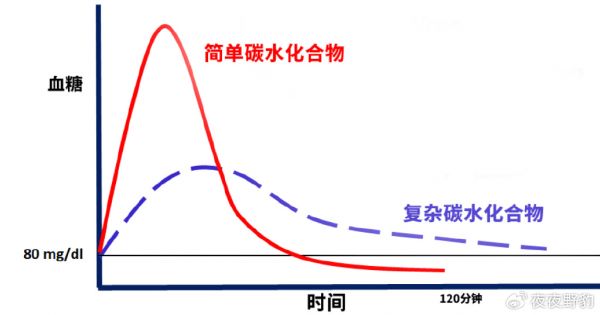 从科学角度解密碳水化合物：让你吃得健康又瘦