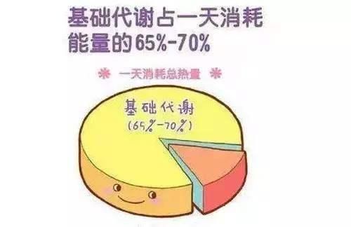 基础代谢率怎么计算？三个方法帮你提高基础代谢率