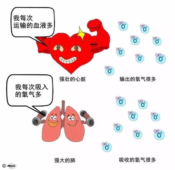 4个方法提高心肺功能，强化心脏