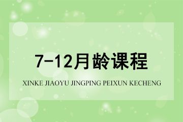 上海新爱婴早教中心新爱婴*7-12月龄课程图片