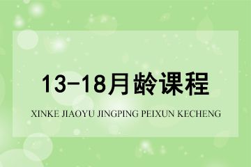 上海新爱婴早教中心新爱婴*13-18月龄课程图片