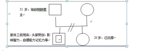 家庭结构图