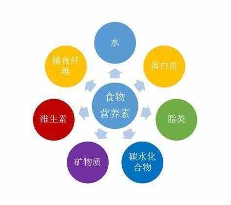 营养学是什么？该吃什么？该吃多少？用五分钟带你初步了解清楚