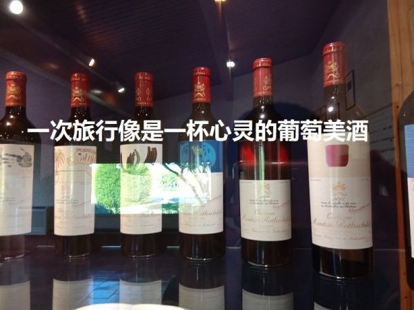 亲子游饮食 法国波尔多的木桐酒庄葡萄酒 亲子旅行美酒