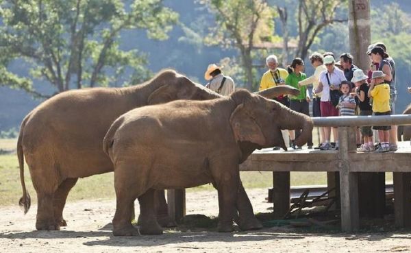 超便宜又好玩的5个亲子游旅行地, 带着自家宝宝出发吧!