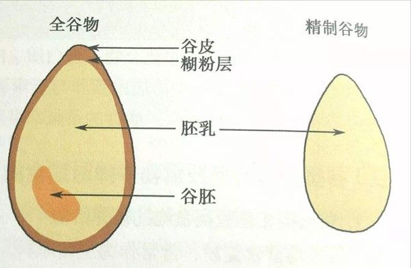 吃全谷物也需要“私人订制”，你吃对了吗？