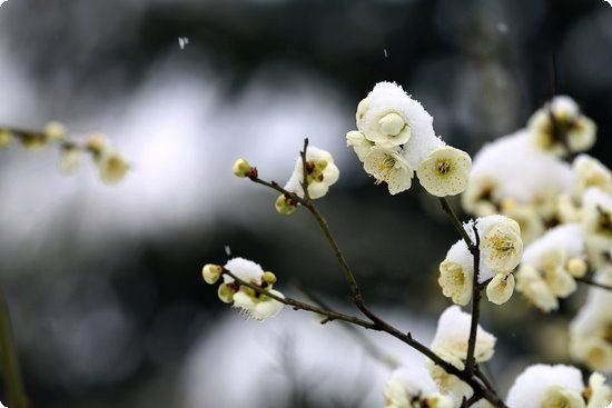 【内分泌紊乱怎么调理】内分泌紊乱怎么办内分泌紊乱如何调理