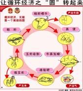 循环经济：如何画好这个美丽的圆？(组图)