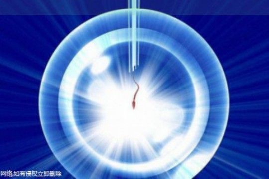 〖北京試管嬰兒費(fèi)用匯總-全程一共八個(gè)步驟整理!〗