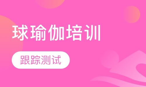 球瑜伽培训
