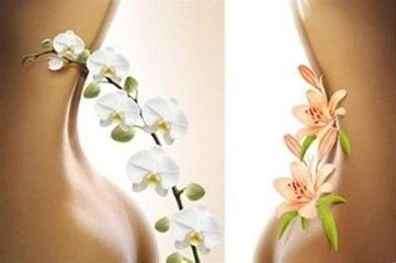 健康減肥的小貼士
