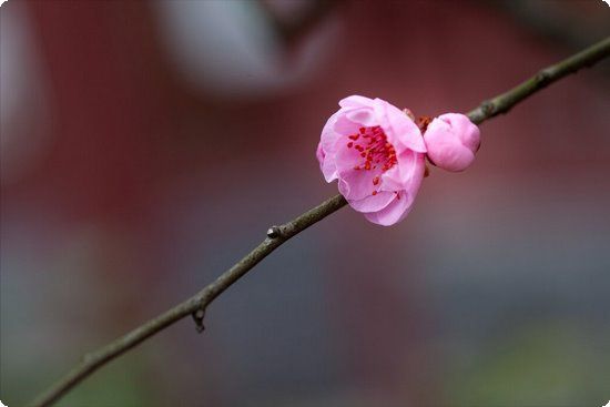 怀孕最快几天有感觉?这个时间就能知道自己怀上了[备孕妈妈注意